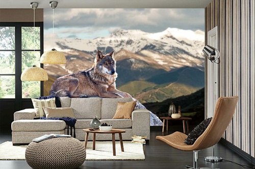 Vlies Fototapete - Iberischer Wolf 375 x 250 cm